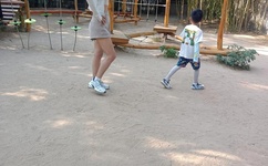 swag最新正在播放